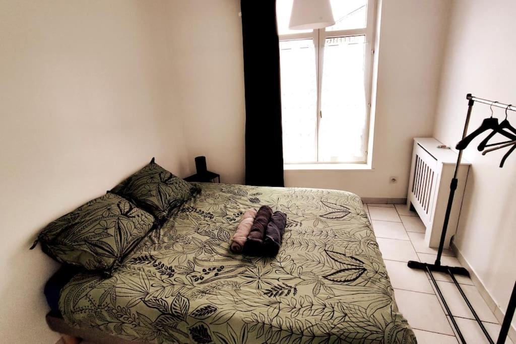 Logement Entier Proche Tribunaux Douai Kültér fotó